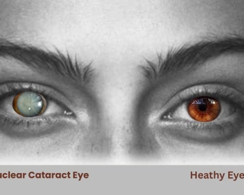 WhatsApp Image 2025-09-24 at 13.03.25 WhatsApp Image 2025-09-24 at 13.03.25