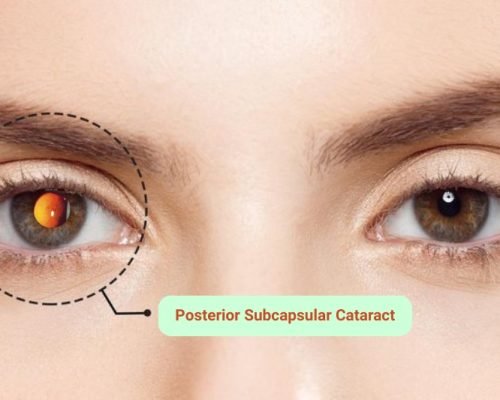 WhatsApp Image 2025-09-24 at 15.18.36 WhatsApp Image 2025-09-24 at 15.18.36